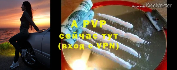 шишки Арсеньев