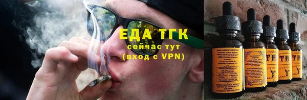 шишки Арсеньев