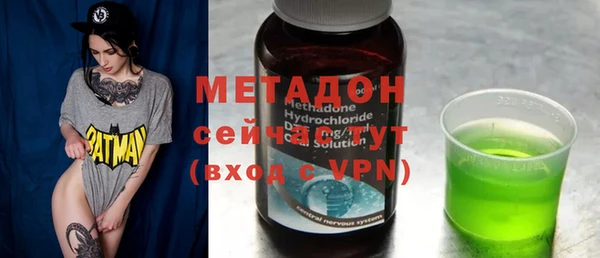 шишки Арсеньев