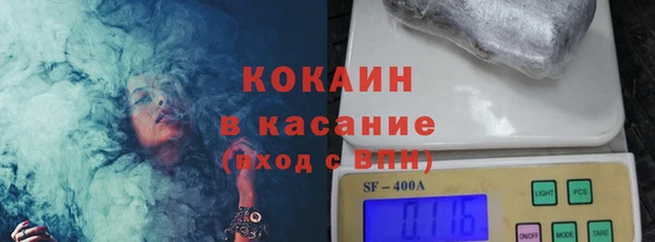 шишки Арсеньев