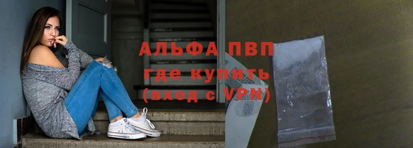 шишки Арсеньев