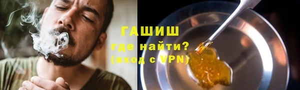шишки Арсеньев