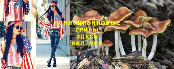 спиды Аркадак