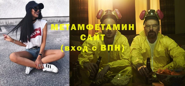шишки Арсеньев