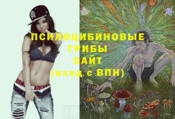таблы Армянск