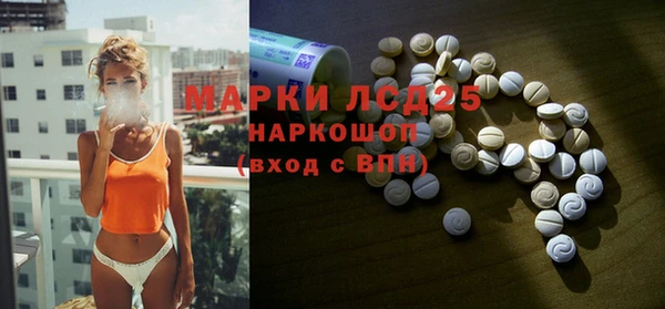 шишки Арсеньев